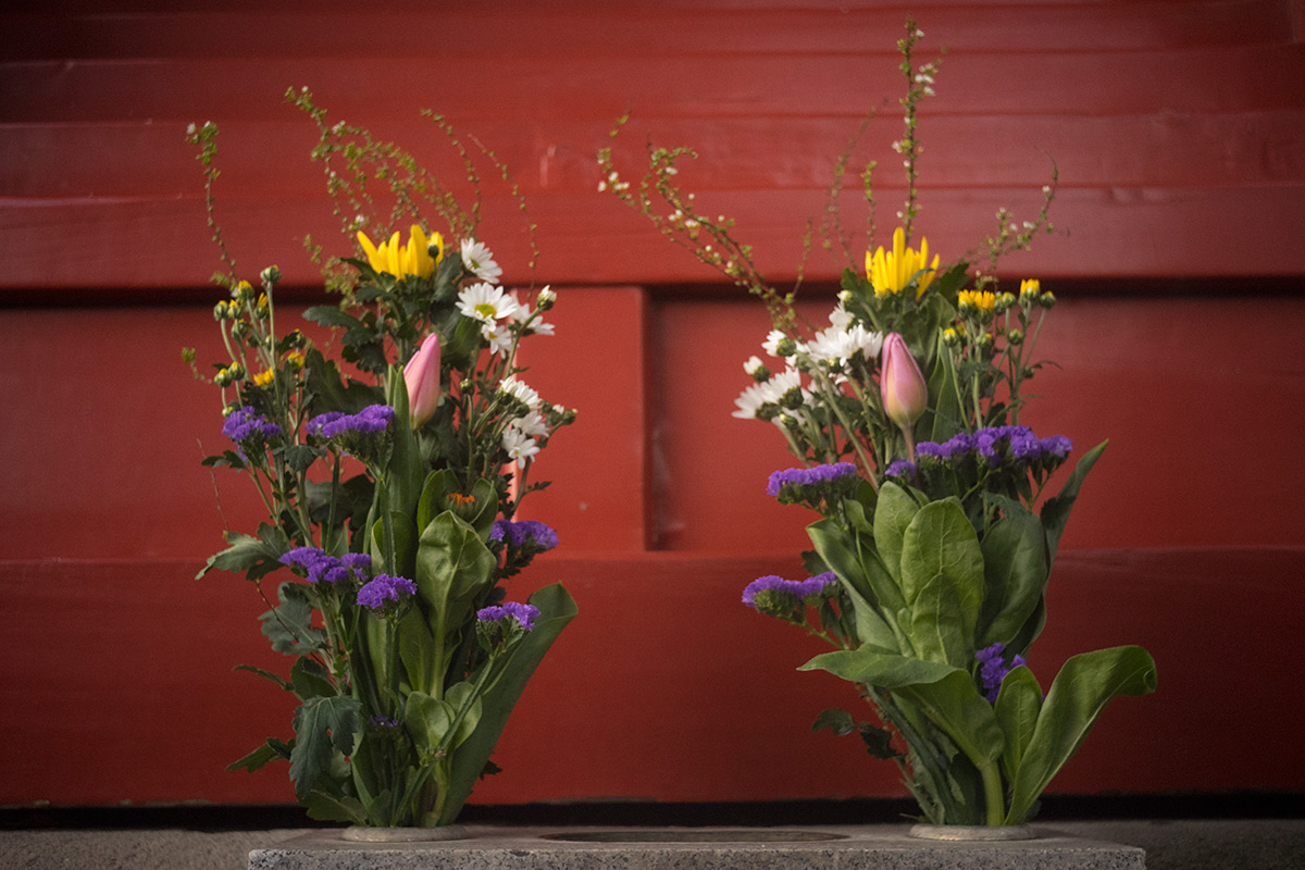浅草寺界隈 w/ Rokuoh-sha Hexar Ser.1 1:4.5 f=40mm - 2017年1月15日撮影