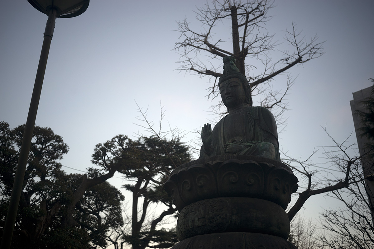 浅草寺界隈 w/ Rokuoh-sha Hexar Ser.1 1:4.5 f=40mm - 2017年1月15日撮影