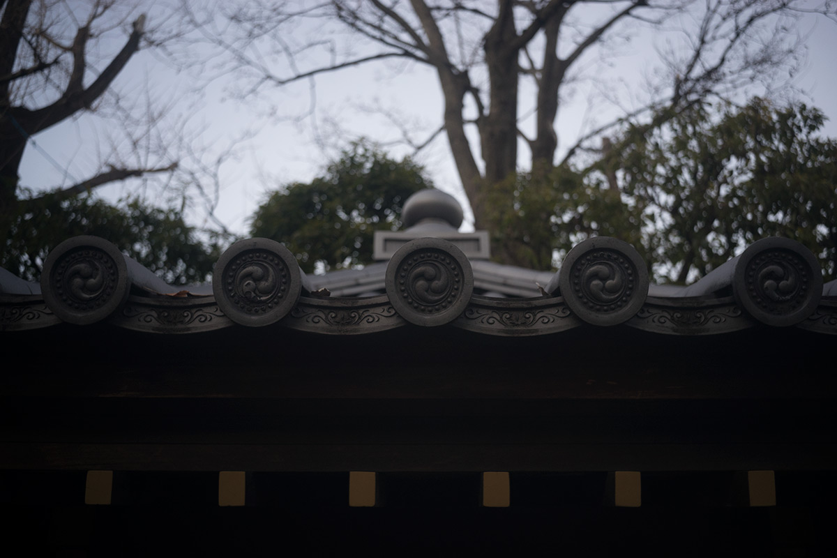 浅草寺界隈 w/ Rokuoh-sha Hexar Ser.1 1:4.5 f=40mm - 2017年1月15日撮影