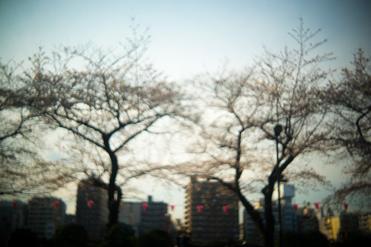 墨堤（ぼくてい）さくらまつり w/ Meopta Openar 1:2 f=45mm - 2017年4月1日撮影