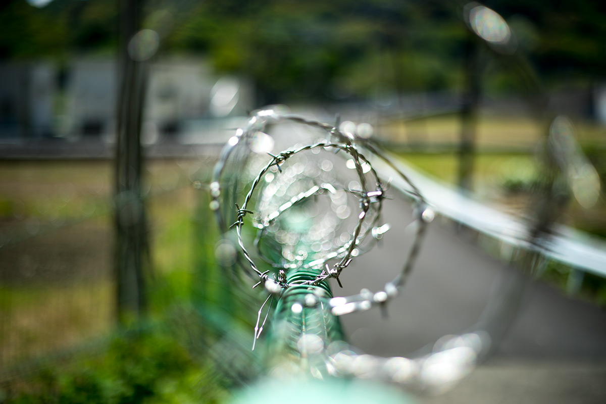 愛川町 w/ Hexanon 1:1.8 f=50mm - 2017年5月4日撮影