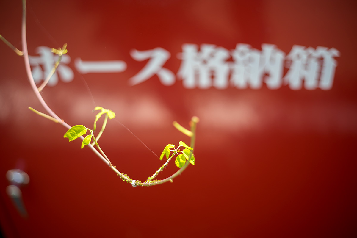 愛川町 w/ Hexanon 1:1.8 f=50mm - 2017年5月4日撮影