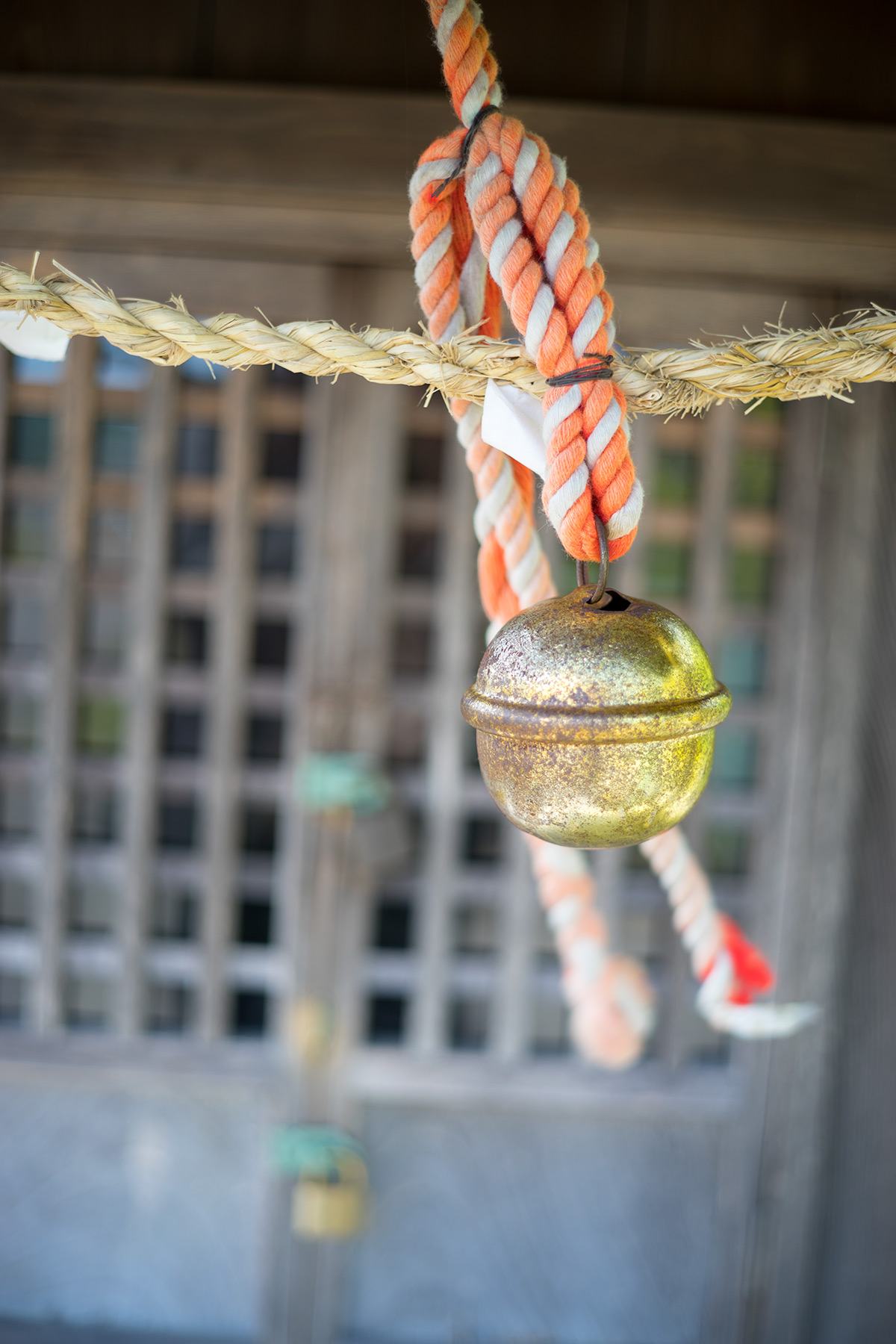 愛川町 w/ Hexanon 1:1.8 f=50mm - 2017年5月4日撮影