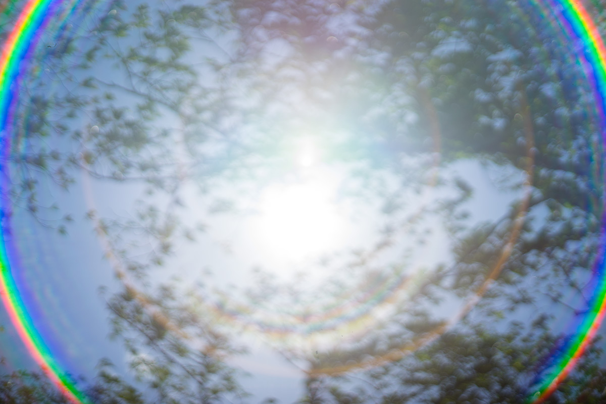 愛川町 w/ Hexanon 1:1.8 f=50mm - 2017年5月4日撮影