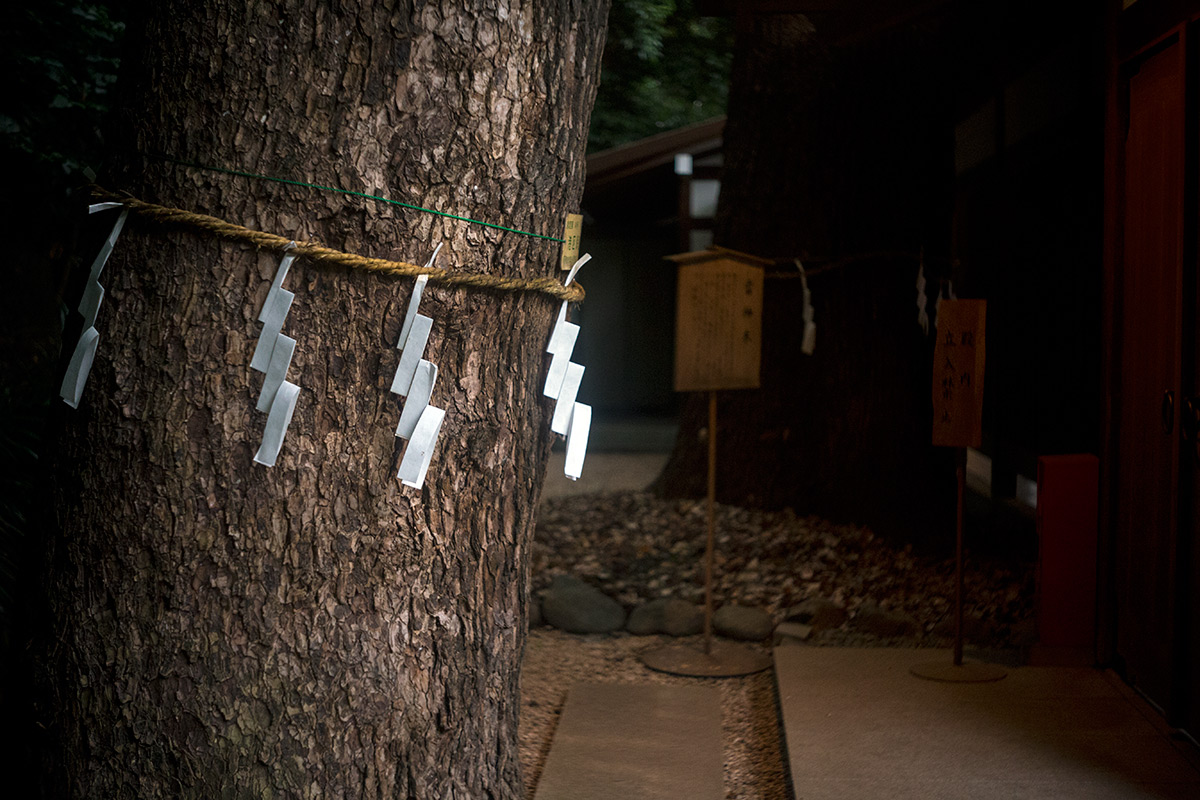 乃木神社の夏祭り w/ Angenieux Paris 50 1:2.9 TYPE Z7 - 2017年8月5日撮影