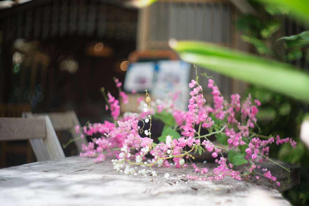 沖縄本島 w/ Voigtlander NOKTON 1:1.5/50 - 2017年10月13日撮影