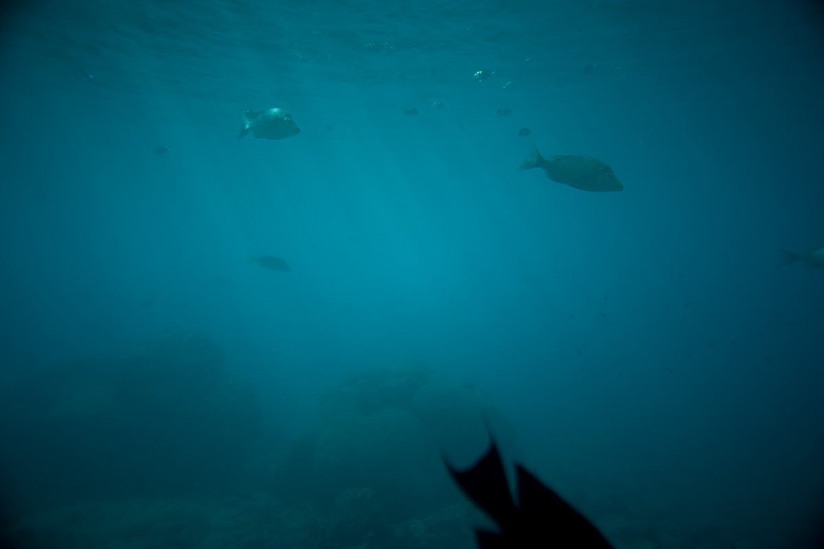 沖縄本島 w/ Voigtlander NOKTON 1:1.5/50 - 2017年10月13日撮影