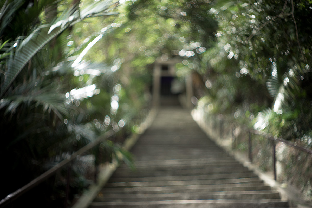 沖縄本島 w/ Voigtlander NOKTON 1:1.5/50 - 2017年10月13日撮影