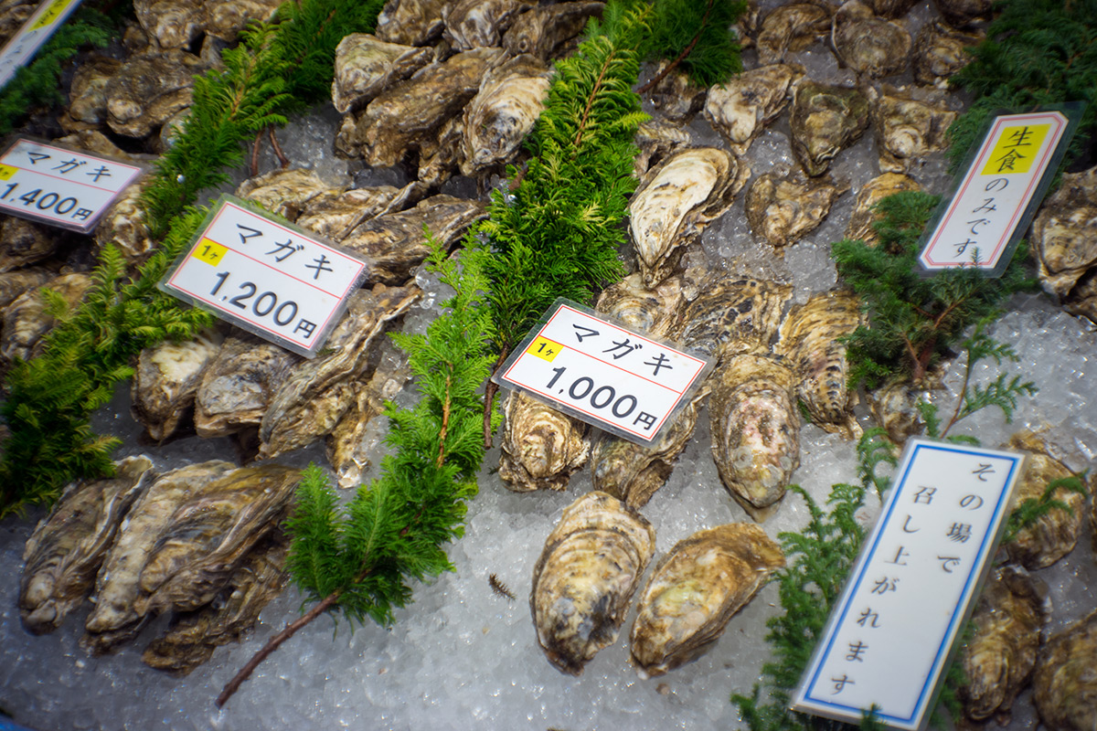 金沢 w/ Konishiroku Hexar 1:3.5 f=50mm - 2017年10月21日撮影