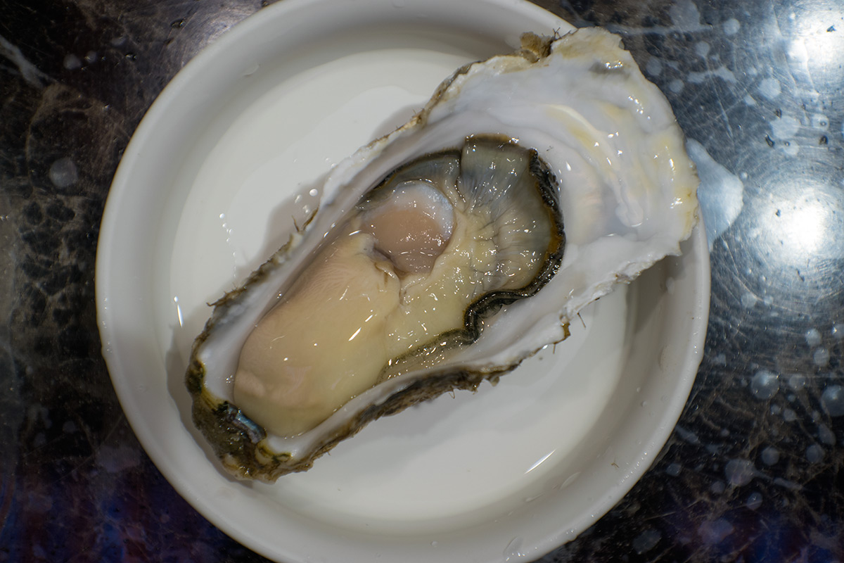 金沢 w/ Konishiroku Hexar 1:3.5 f=50mm - 2017年10月21日撮影