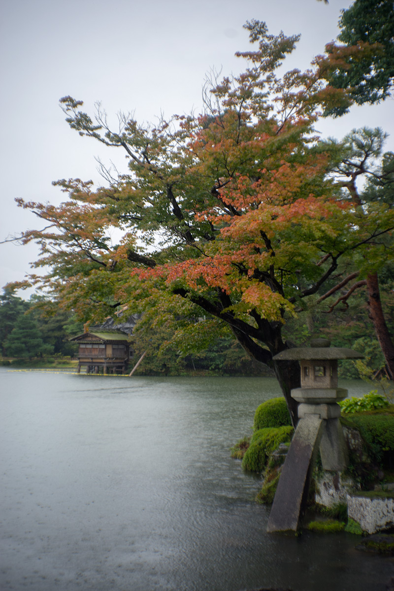 金沢 w/ Konishiroku Hexar 1:3.5 f=50mm - 2017年10月21日撮影