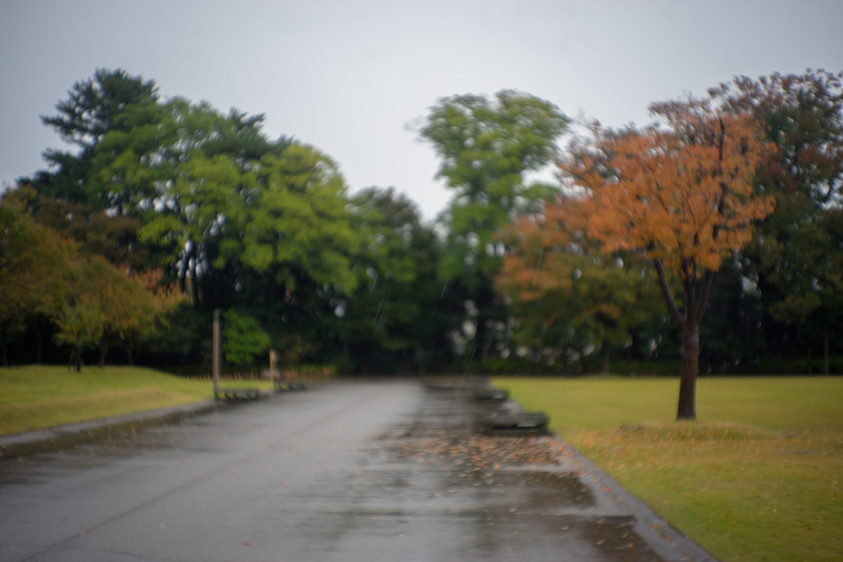 金沢 w/ Konishiroku Hexar 1:3.5 f=50mm - 2017年10月21日撮影
