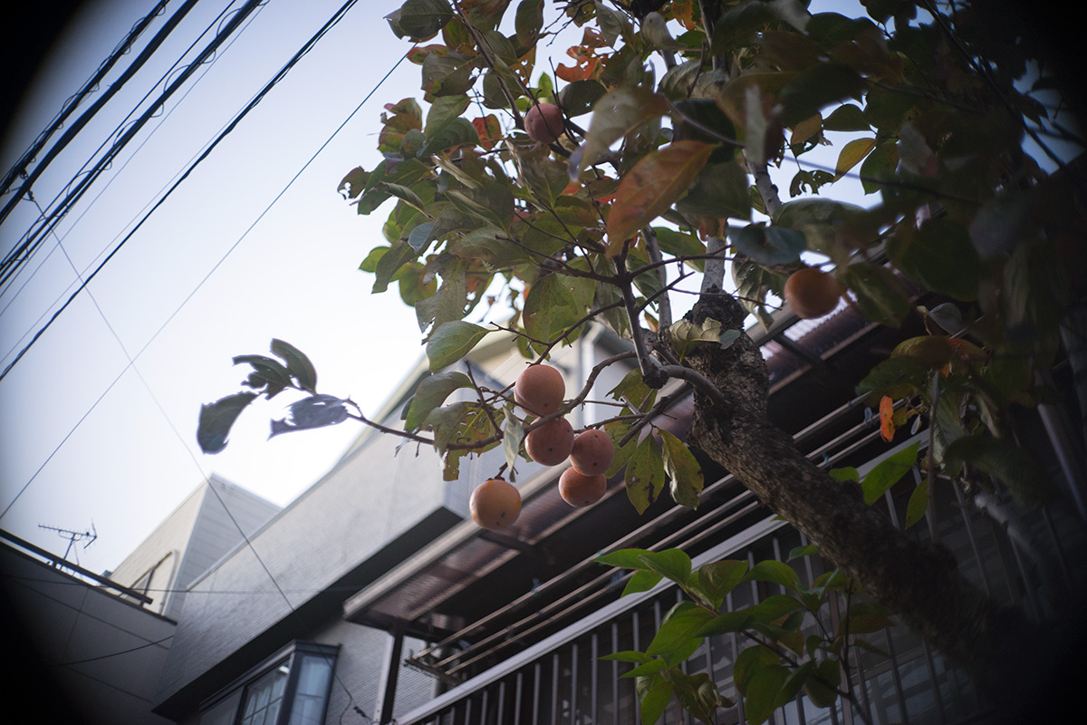 日暮里 w/ Olympus F.Zuiko 1:1.9 f=3.2cm（Pen D） - 2017年11月19日撮影