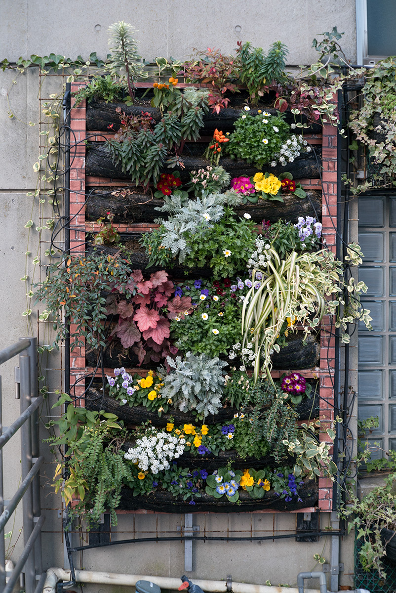 向島・浅草界隈 w/ ЮПИТЕР-3（JUPITER-3） 1:1,5 F=5CM - 2017年12月23日撮影