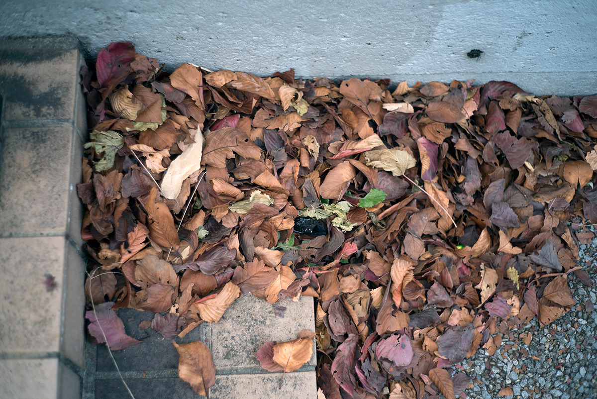 向島・浅草界隈 w/ ЮПИТЕР-3（JUPITER-3） 1:1,5 F=5CM - 2017年12月23日撮影