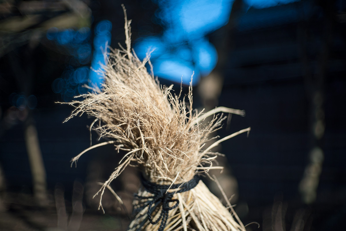 鎌倉 w/ AIRES CAMERA TOKYO CORAL S 1:1.5 f=4.5cm - 2018年1月13日撮影