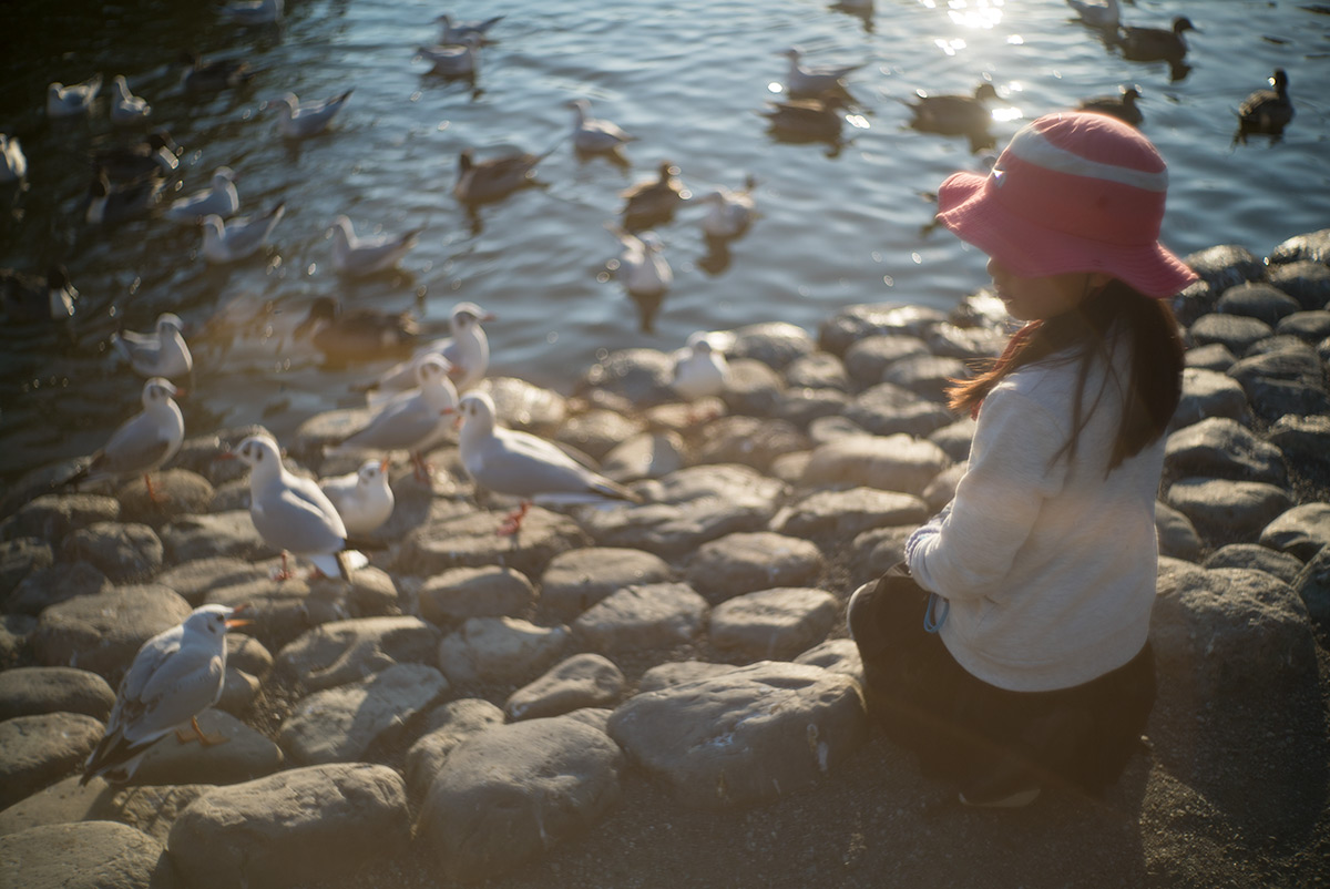 鎌倉 w/ AIRES CAMERA TOKYO CORAL S 1:1.5 f=4.5cm - 2018年1月13日撮影