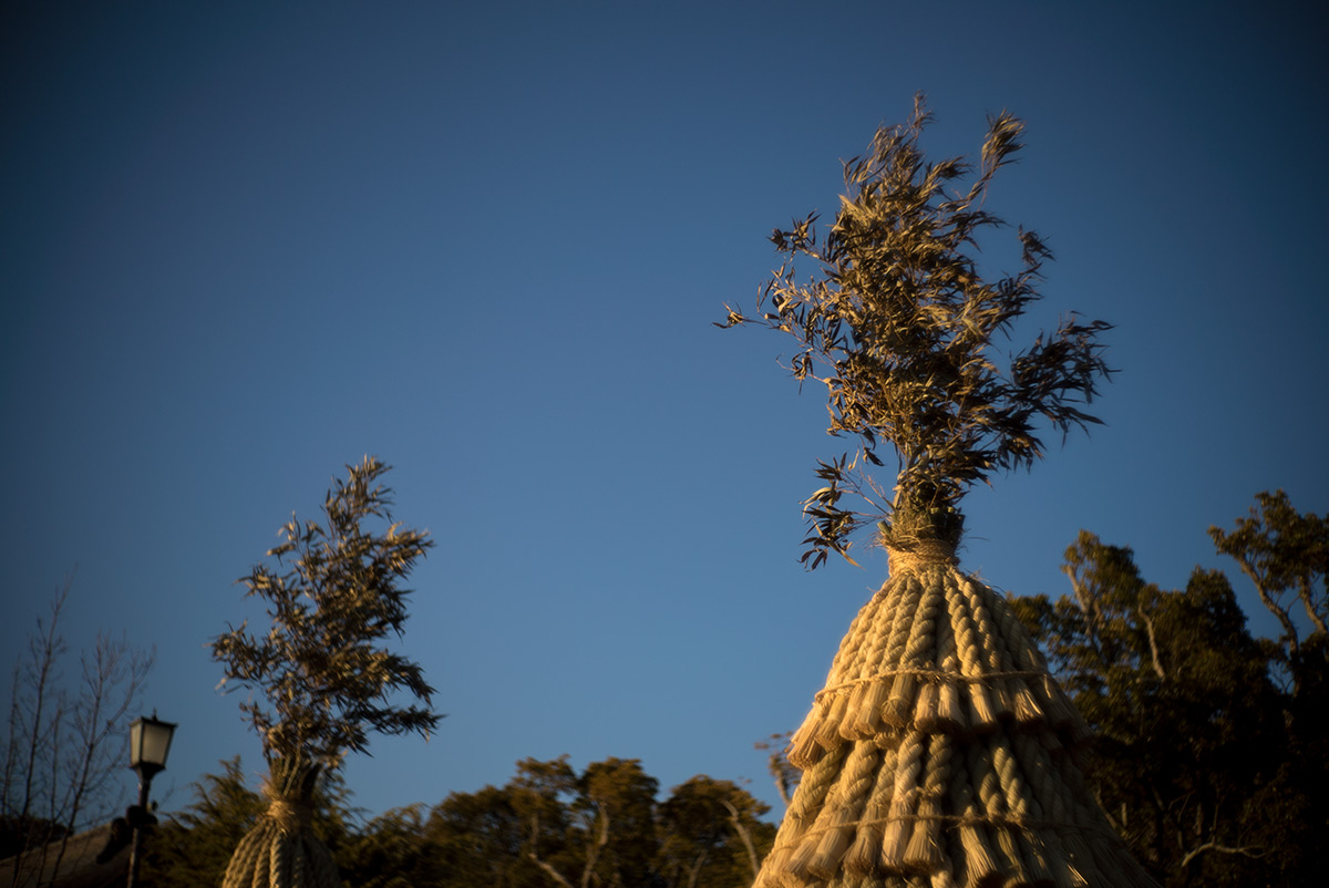 鎌倉 w/ AIRES CAMERA TOKYO CORAL S 1:1.5 f=4.5cm - 2018年1月13日撮影