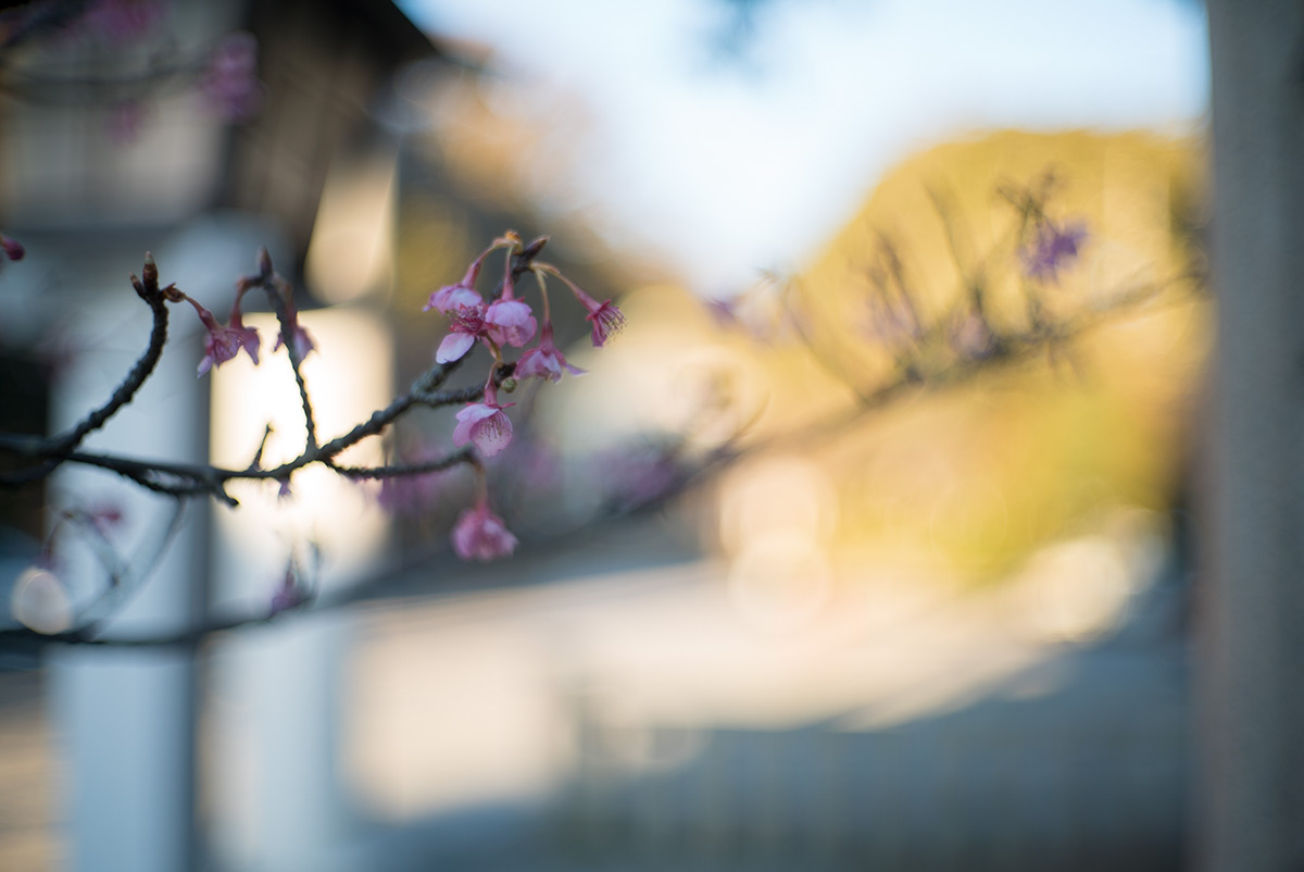 鎌倉 w/ AIRES CAMERA TOKYO CORAL S 1:1.5 f=4.5cm - 2018年1月13日撮影