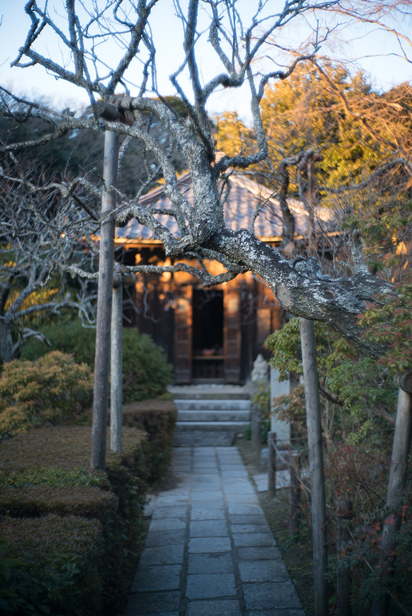 鎌倉 w/ AIRES CAMERA TOKYO CORAL S 1:1.5 f=4.5cm - 2018年1月13日撮影