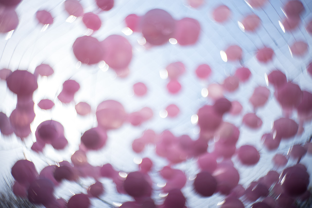 桜 w/ NEW Petzval 58 BOKEH CONTROL ART LENS / 1:1.9/58mm - 2018年3月24日撮影