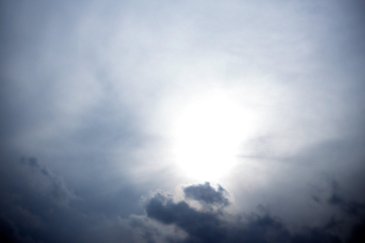 桜 w/ NEW Petzval 58 BOKEH CONTROL ART LENS / 1:1.9/58mm - 2018年3月24日撮影