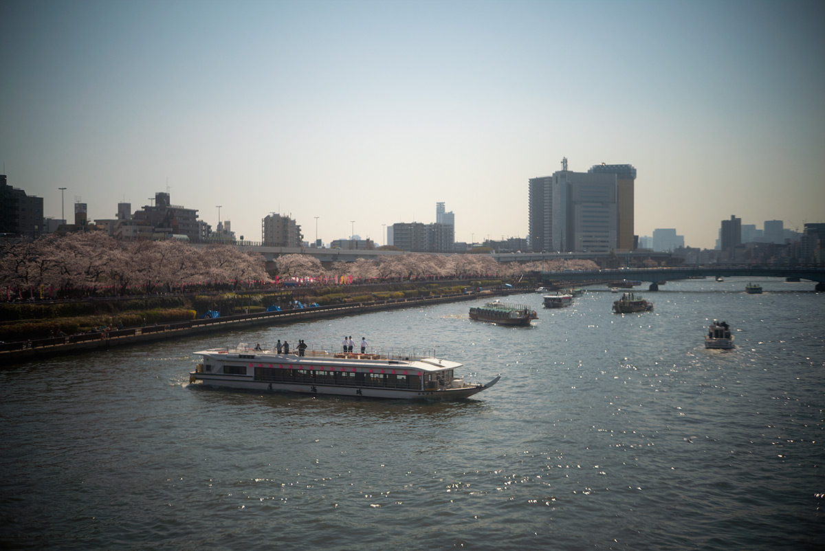 桜 w/ ZUNOW Opt. Japan ZUNOW 1:2.8 f=4.5cm - 2018-03-25