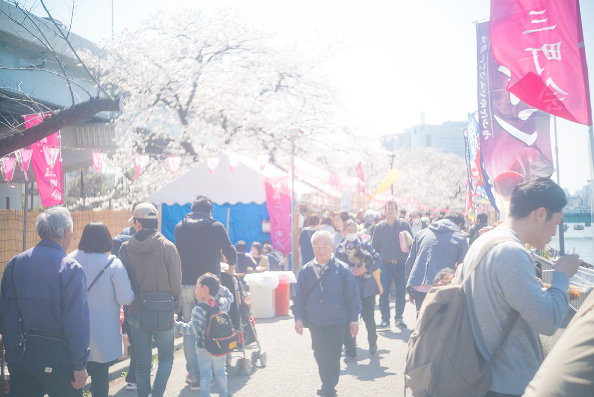 桜 w/ ZUNOW Opt. Japan ZUNOW 1:2.8 f=4.5cm - 2018年3月25日撮影