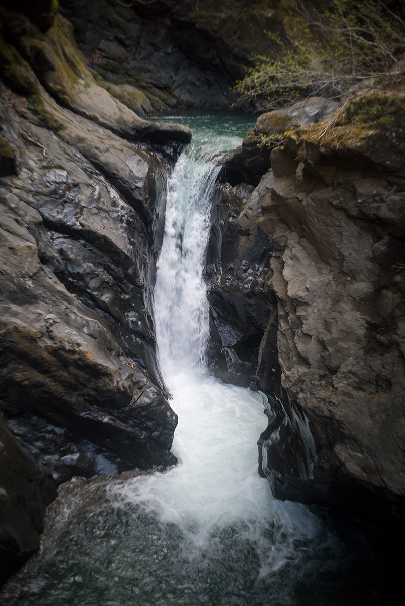 源氏の湯 w/ Nikon W-NIKKOR･C 1:2.5 F=3.5cm - 2018年3月31日撮影