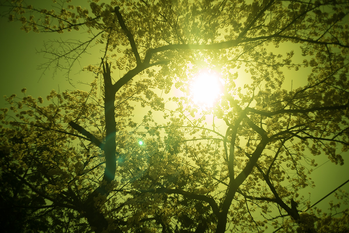 源氏の湯 w/ Nikon W-NIKKOR･C 1:2.5 F=3.5cm - 2018年3月31日撮影