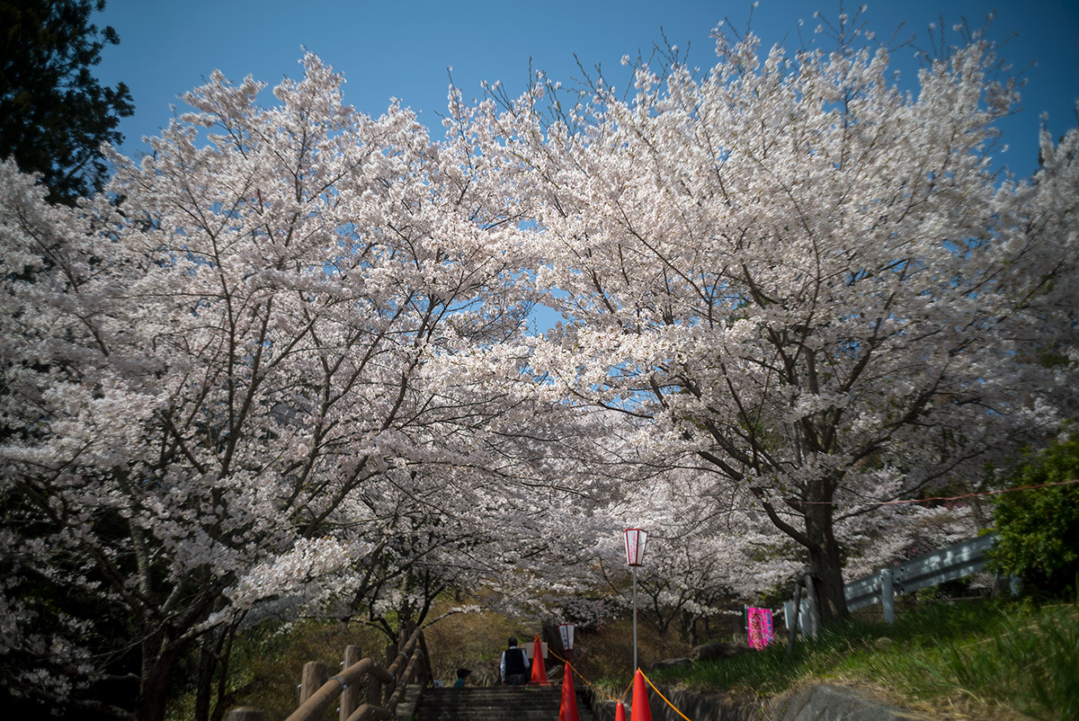 源氏の湯 w/ Nikon W-NIKKOR･C 1:2.5 F=3.5cm - 2018年3月31日撮影