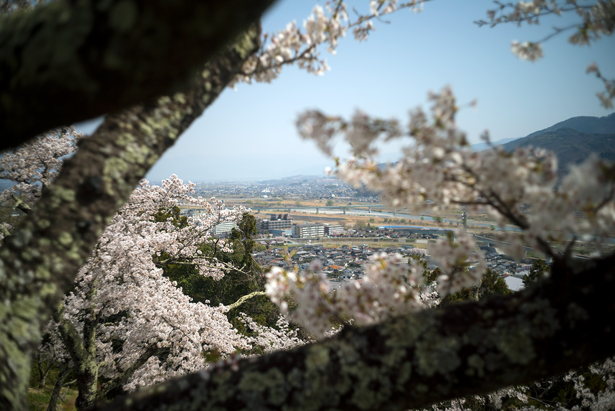 源氏の湯 w/ Nikon W-NIKKOR･C 1:2.5 F=3.5cm - 2018年3月31日撮影