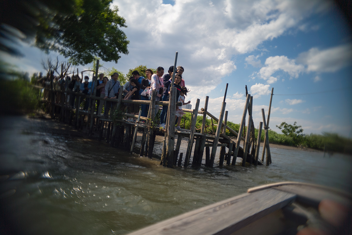 柴又 w/ ASAHI OPT. CO., JAPAN PENTAX-110 1:2.8 24mm - 2018-05-04