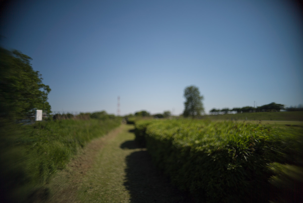 柴又 w/ ASAHI OPT. CO., JAPAN PENTAX-110 1:2.8 24mm - 2018年5月4日撮影