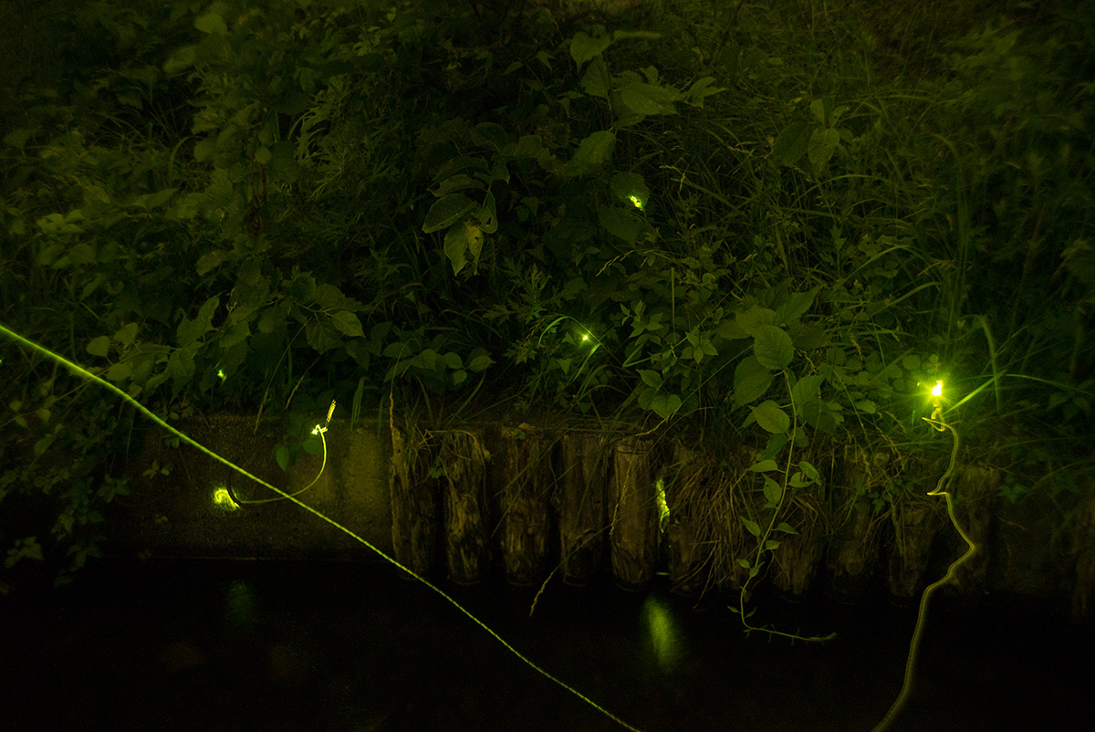 第70回 信州辰野ほたる祭り w/ Tokyo Kogaku Topcor-s 1:2 f=5cm - 2018年6月17日撮影