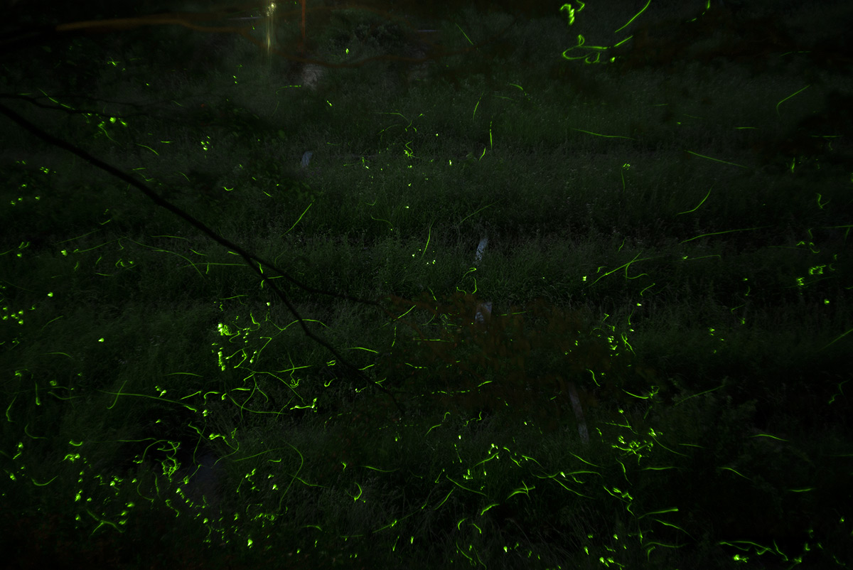 第70回 信州辰野ほたる祭り w/ Tokyo Kogaku Topcor-s 1:2 f=5cm - 2018年6月17日撮影