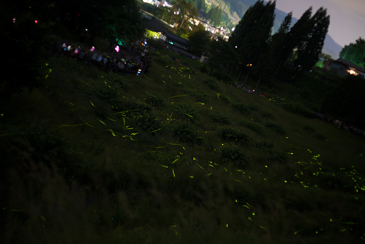 第70回 信州辰野ほたる祭り w/ Tokyo Kogaku Topcor-s 1:2 f=5cm - 2018年6月17日撮影