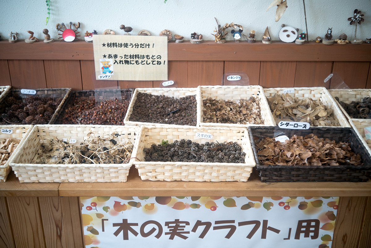 愛川町 w/ Chiyoko SUPER ROKKOR 1:2.8 f=45mm - 2018年7月16日撮影