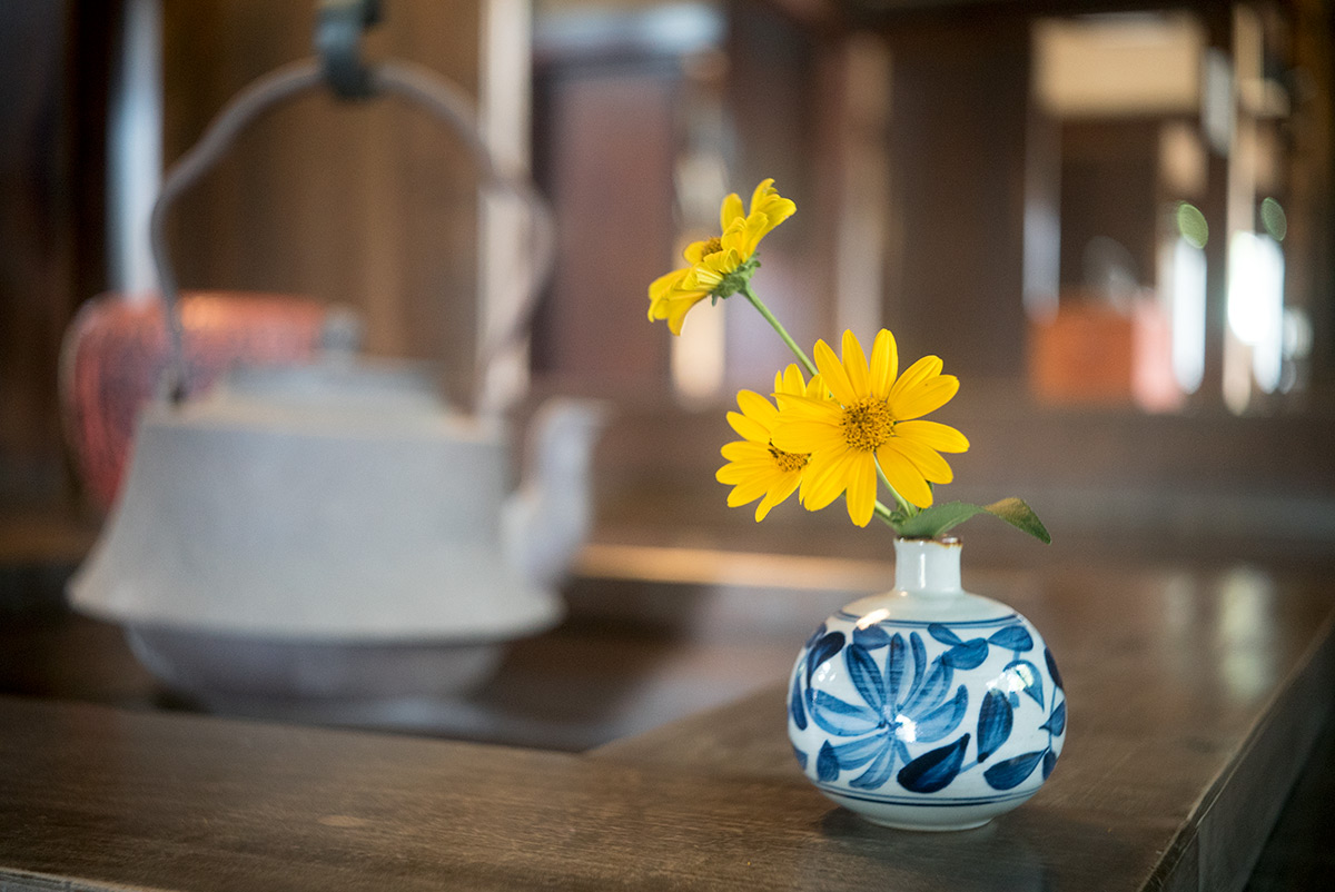 愛川町 w/ Chiyoko SUPER ROKKOR 1:2.8 f=45mm - 2018年7月16日撮影