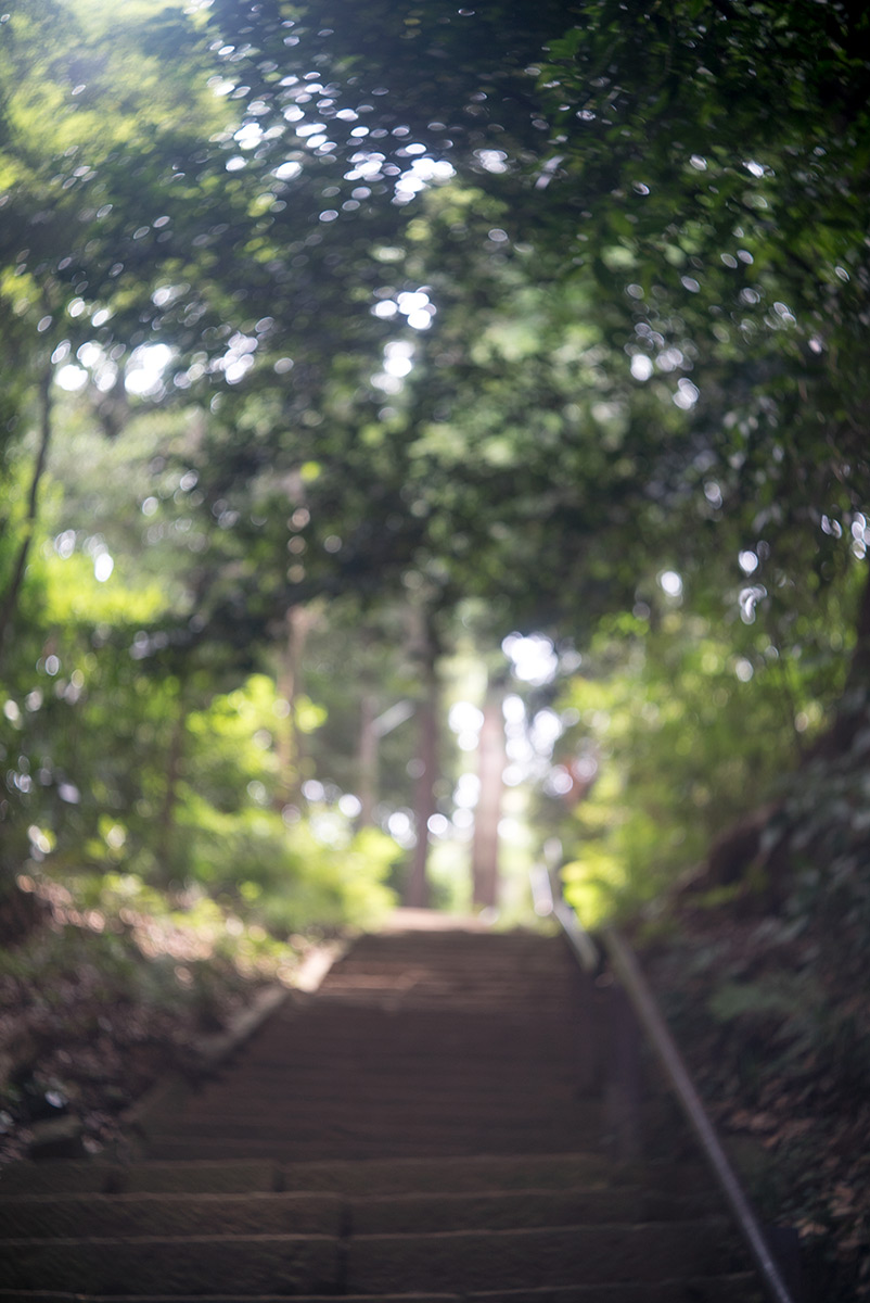 愛川町 w/ Chiyoko SUPER ROKKOR 1:2.8 f=45mm - 2018年7月16日撮影
