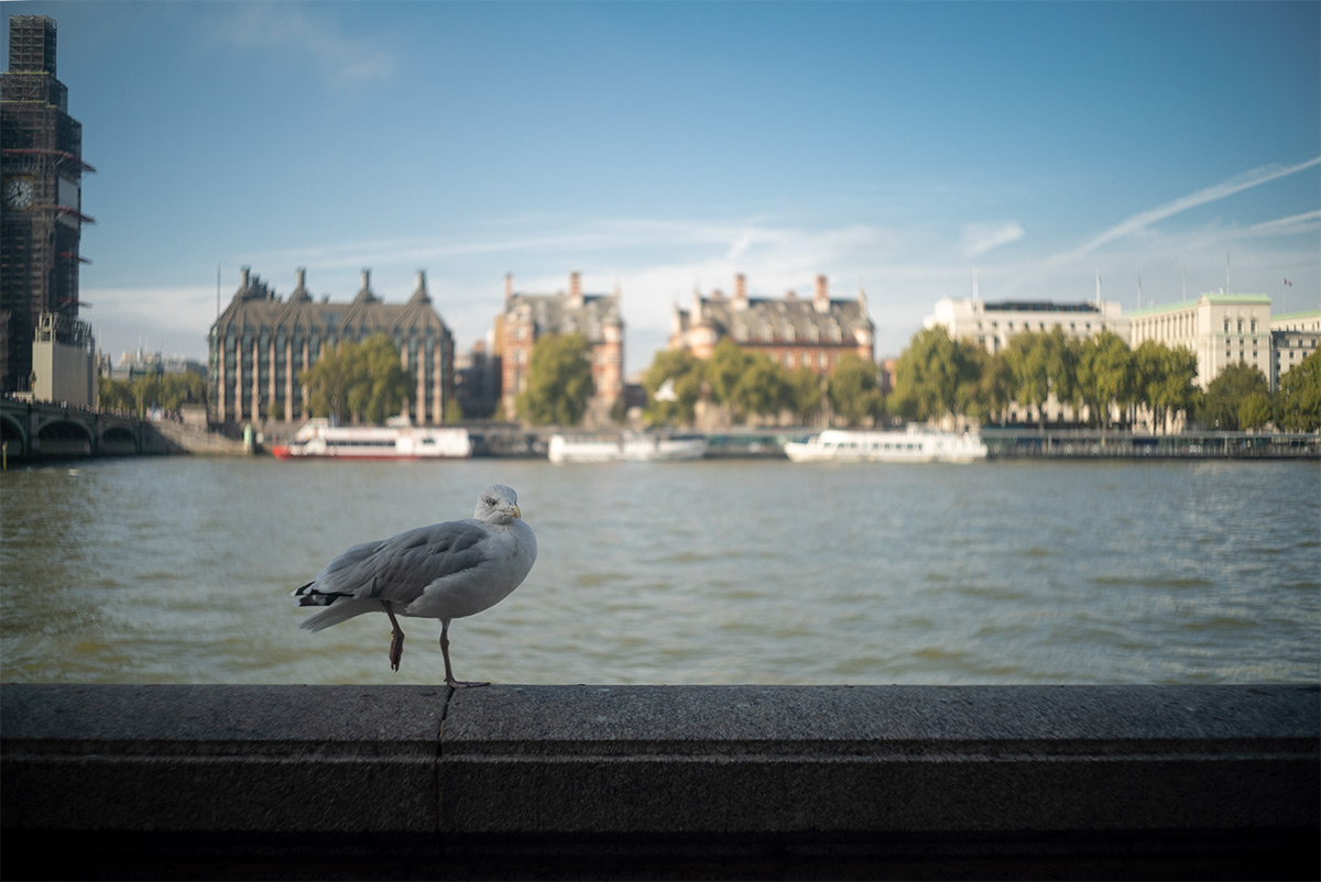 ロンドン：テムズ川 w/ W-NIKKOR･C 1:2.5 F=3.5cm - 2018年10月4日撮影