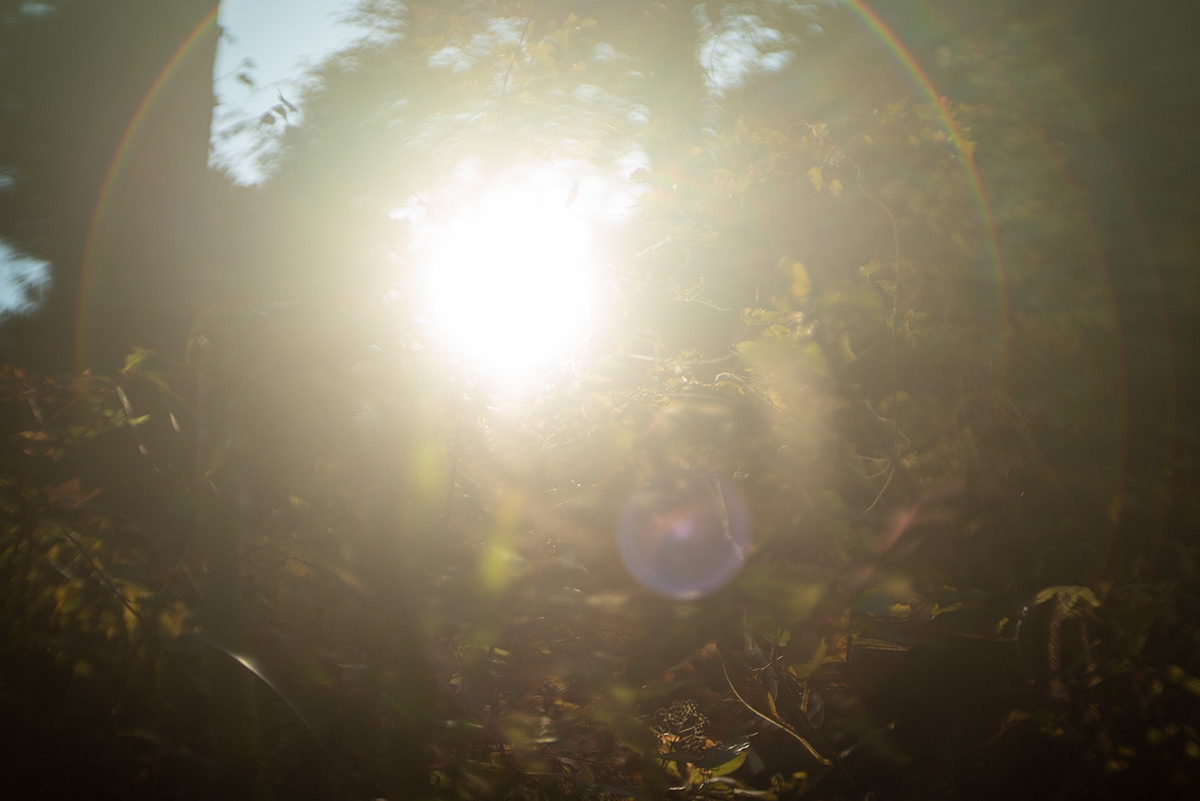 鳩ノ巣渓谷 w/ Meopta Meostigmat 1.3/35 - 2018-11-24