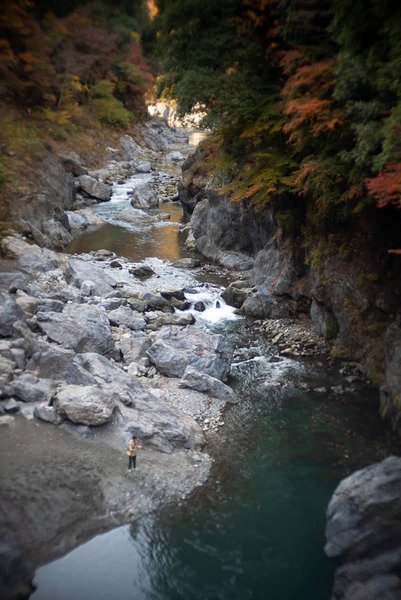 鳩ノ巣渓谷 w/ Meopta Meostigmat 1.3/35 - 2018年11月24日撮影