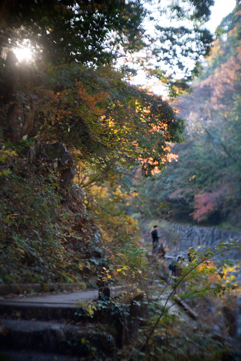 鳩ノ巣渓谷 w/ Meopta Meostigmat 1.3/35 - 2018年11月24日撮影
