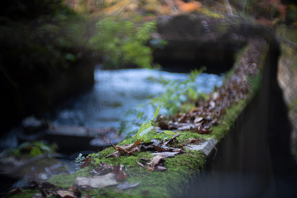 鳩ノ巣渓谷 w/ Meopta Meostigmat 1.3/35 - 2018年11月24日撮影