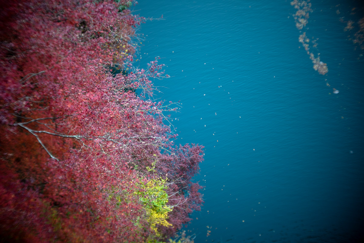 鳩ノ巣渓谷 w/ Meopta Meostigmat 1.3/35 - 2018年11月24日撮影