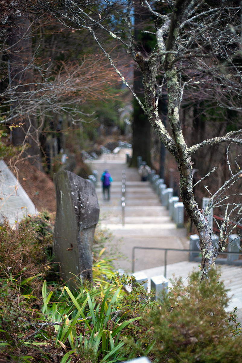 御岳山 w/ Meopta Meostigmat 1.3/35 - 2018年12月23日撮影