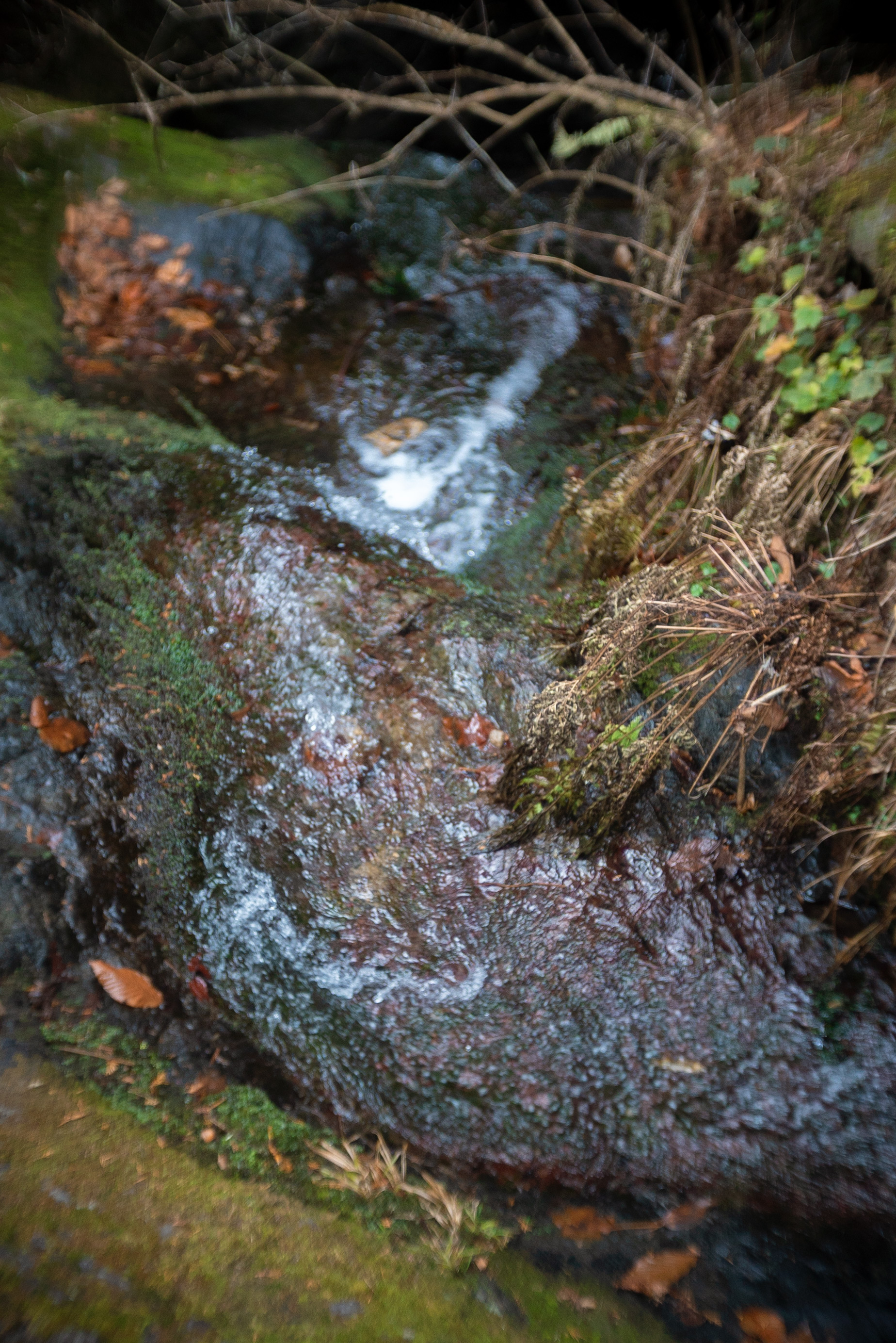 御岳山 w/ Meopta Meostigmat 1.3/35 - 2018年12月23日撮影