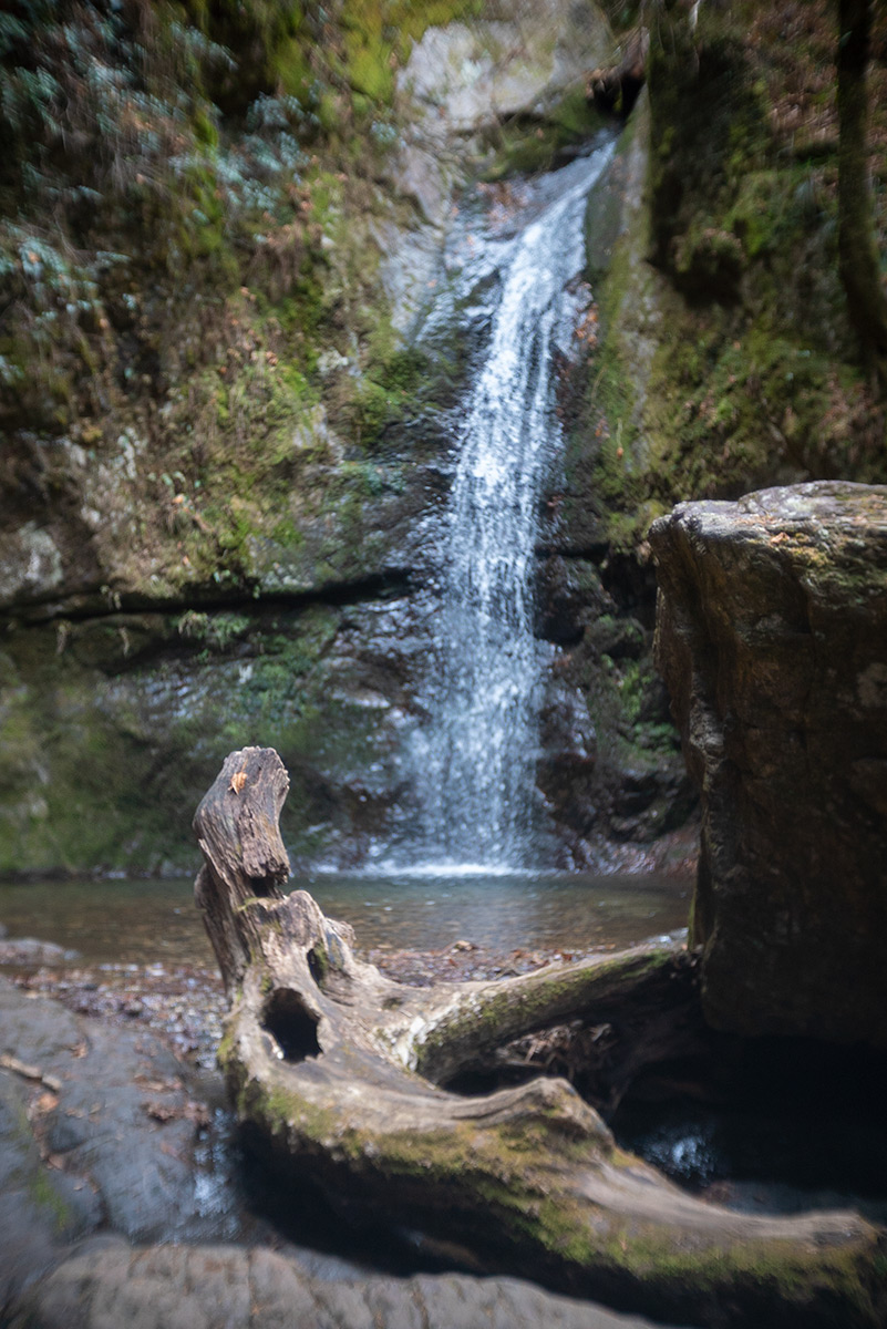 御岳山 w/ Meopta Meostigmat 1.3/35 - 2018年12月23日撮影