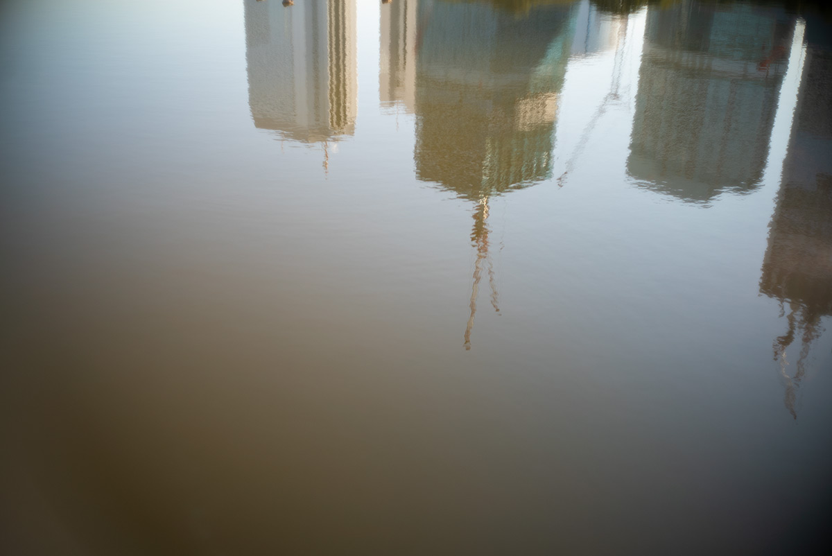 浜離宮 w/ CANON LENS 35mm f:1.8 - 2019年1月19日撮影